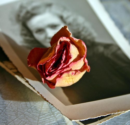 images